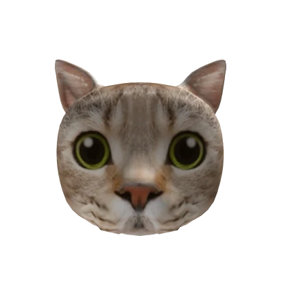 Cat Cat Cat 