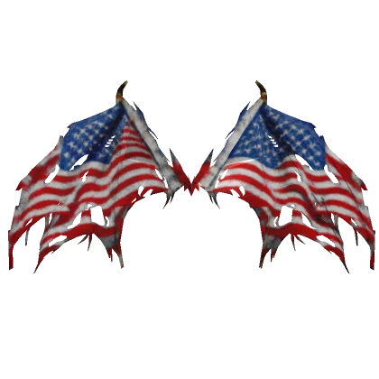 American Flag Wings of Protection