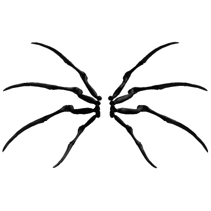 Black Skeleton Spider Legs