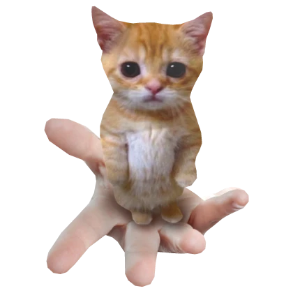 El Gato