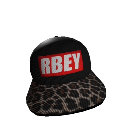 RBEY Skate Hat Sidewayz