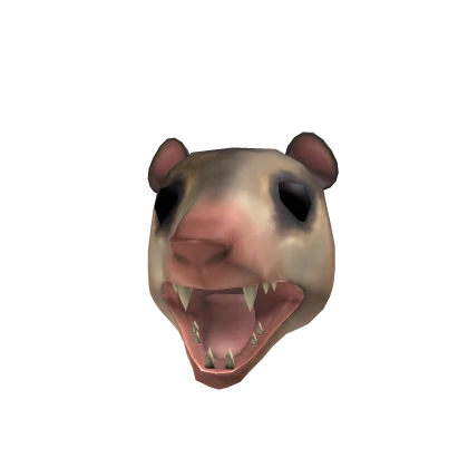 Possum Rat Head