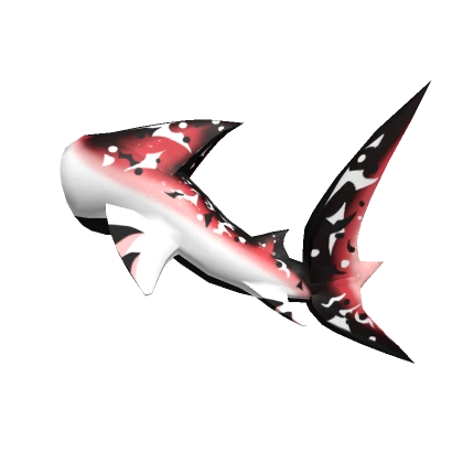 Japanese Koi Shark [Tail]