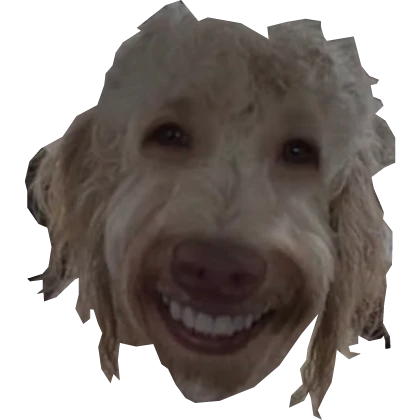 Realistic Dog Human Smile Face Troll Filter