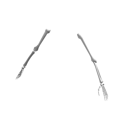 Skeleton Arms (White)