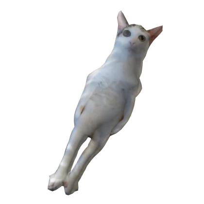 Destroyer of all, destined to rule all and conquer
