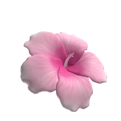 Summer Hibiscus Flower