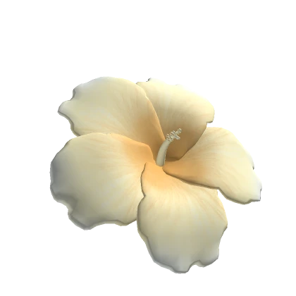 Summer Hibiscus Flower Light Yellow