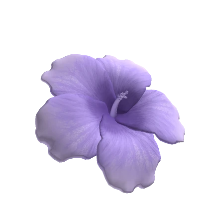 Summer Hibiscus Flower Purple