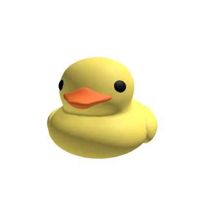 Henry The Duck Pet
