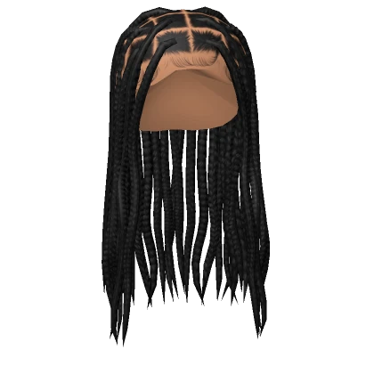 𝓖 Black Middle Part Braids