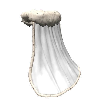 White Royal king cape