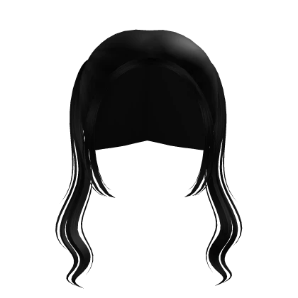 high wavy pigtails in black ୨୧