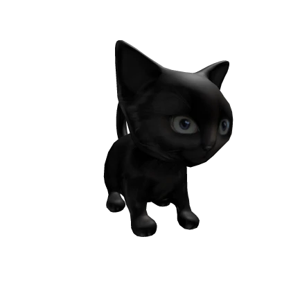 cute black cat on the head