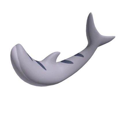 Medium tiger shark tail