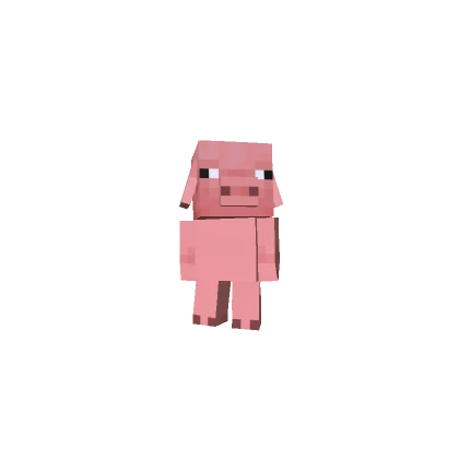 Mini Pig