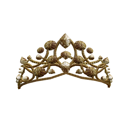 ✨ Princess Gold Tiara