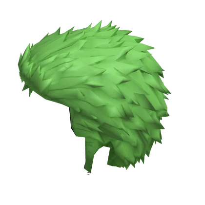 Zoro Hair