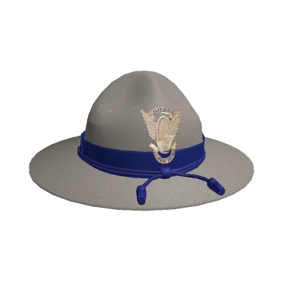 CHP Stetson