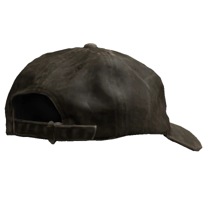 Distressed Brown Hat backwards