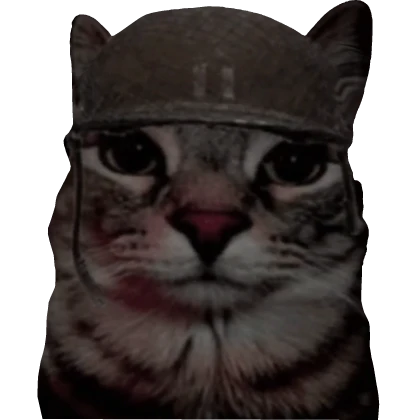 Soldier Cat 