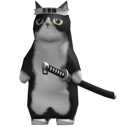 Ninja Cat