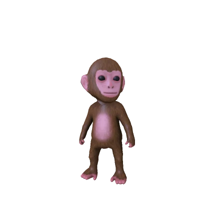 Baby Monkey