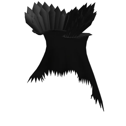 Black Fur Cape