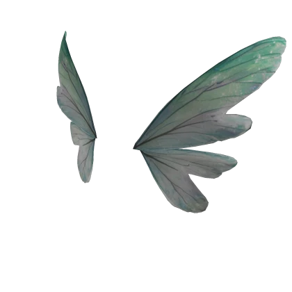 Fairy Wings🪽