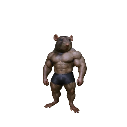 Very Muscular Rat