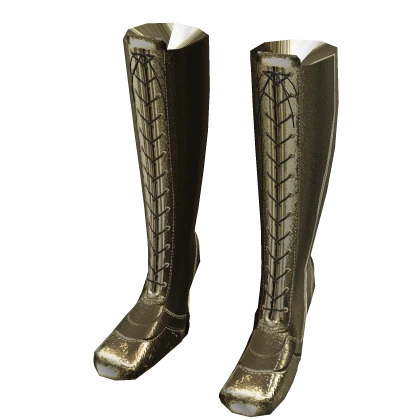 Supermodel 2000's Gold Boots