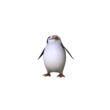 Skipper