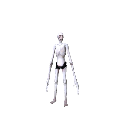 SCP 096