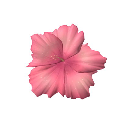 summery hibiscus flower 