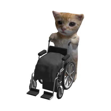 Wheelchair El Gato Cat