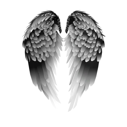 Black and White Wings
