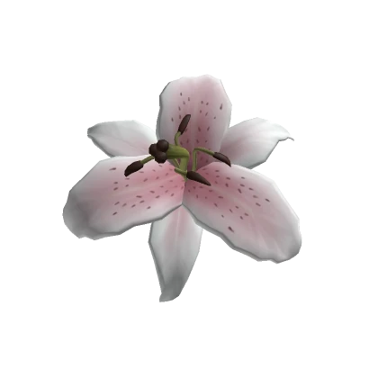 ♡ pink oriental lily hair flower