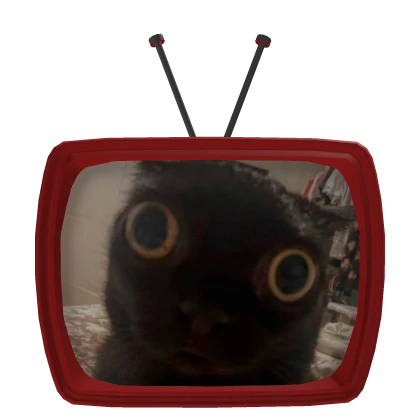 TV Head Meme Funny Scared Cat