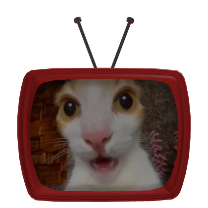 TV Head Meme Funny Shocked Cat