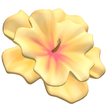 yellow summer hibiscus