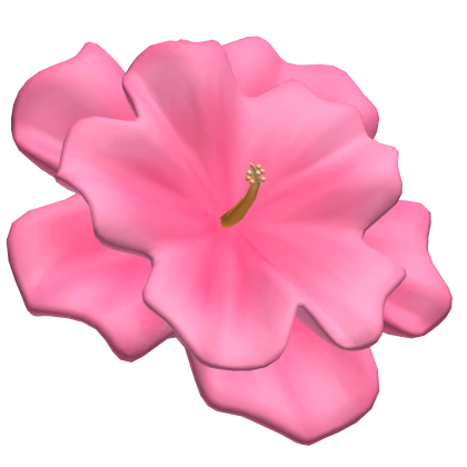 pink summer hibiscus