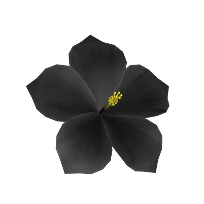 Black Hibiscus Hair Flower 🌺