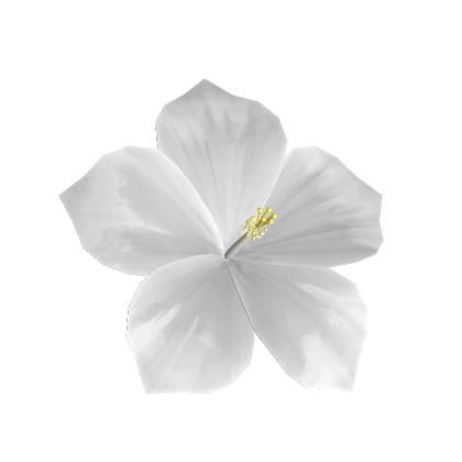 White Hibiscus Hair Flower 🌺