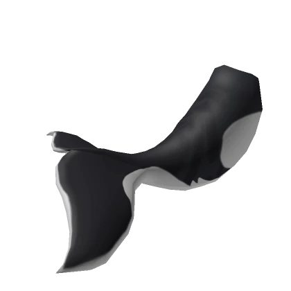 Orca Tail