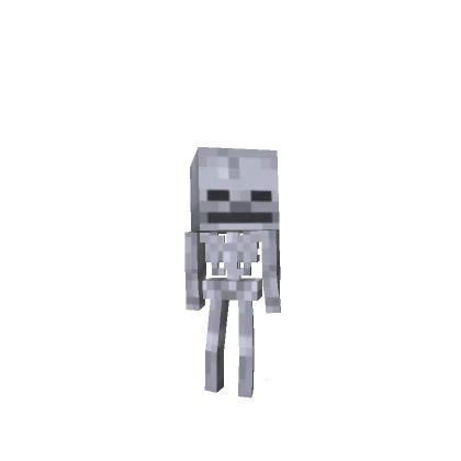 Mini Skeleton