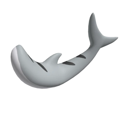 Medium grey tiger shark tail