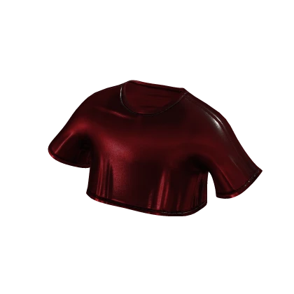 Red Satin Crop Top