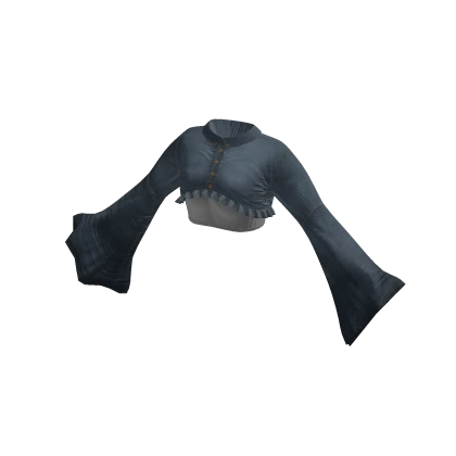 Denim Crop Top