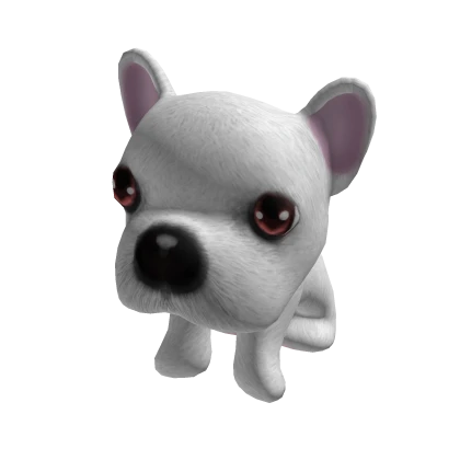 White French Bulldog Cute Suit