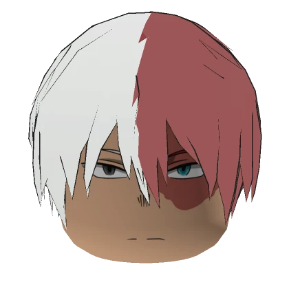 Shoto Todoroki Head